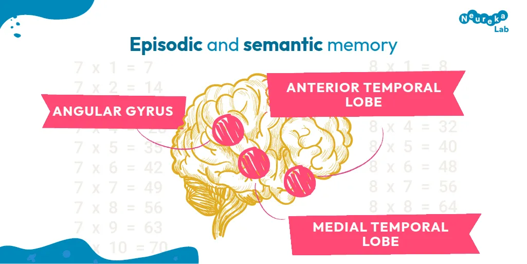 Episodic and semantic memory involves the angular gyrus, the anterior temporal lobe and the medial temporal lobe